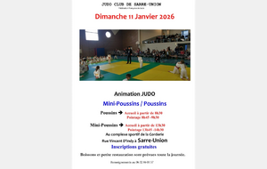 tournoi Sarre-Union Mini-poussins poussins