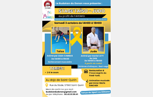 Stage Taiso judo